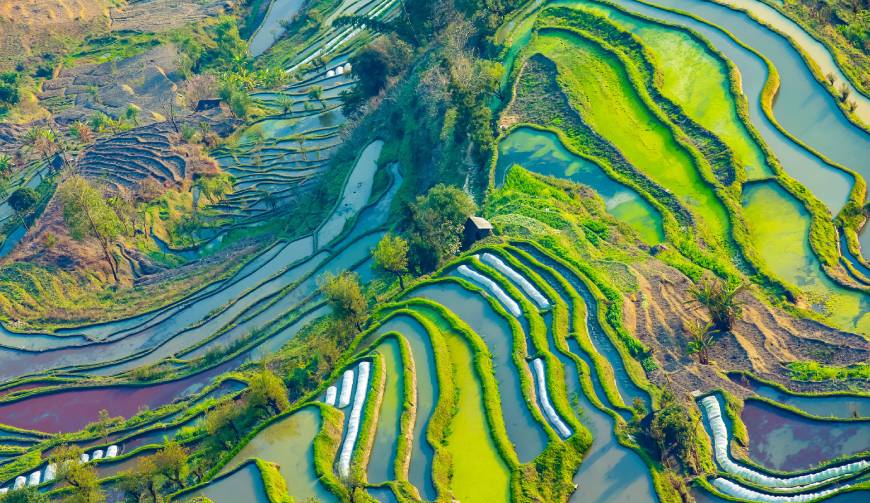 宝妈必备神器：鱼台县产品视频拍摄轻松育儿好帮手